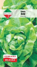 nasiona-salata-glowiasta-maslowa-bona-1g-spojnia-325126