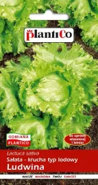nasiona-salata-lodowa-glowiasta-krucha-ludwina-1g-plantico-404410