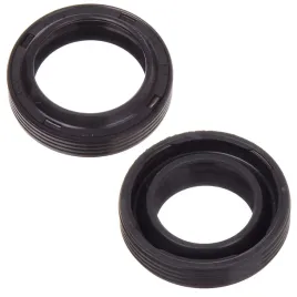 pierscien-uszczelniajacy-olejowy-20x28x6-8-do-myjek-karcher-6-365-052-0
