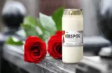 bispol-wklad-ognik-wp3-certyfikat-ce