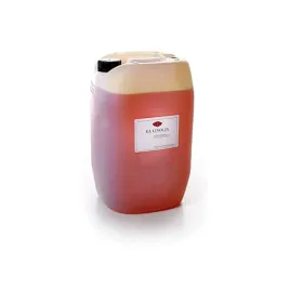 szwedzki-surowy-olej-lniany-do-drewna-20l