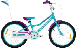 rower-dzieciecy-indiana-roxy-kid-20-cali-dla-dziewczynki-turkusowy