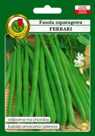 nasiona-pnos-fasola-szparagowa-zielona-karlowa-ferrari-30-g