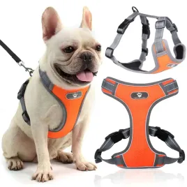 2-x-szelki-dla-psa-typu-guard-bezuciskowe-regulowane-m