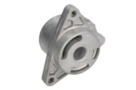 napinacz-paska-wielorowkowego-pasuje-do-nissan-interstar-primastar-opel