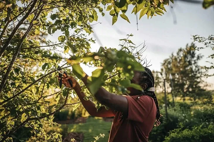 fiskars-sekator-nozycowy-solid-p321-1057162-stan-nowy-dlugosc-robocza-26-cm