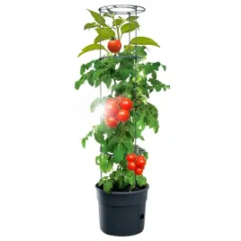 doniczka-do-uprawy-pomidorow-zestaw-tomato-grower-donica-antracyt
