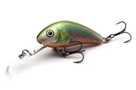 2-x-wobler-salmo-h6f-hornet-floating-6cm-10g-oikawa