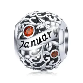 charms-zawieszka-styczen-kamien-urodzinowy-srebro-925-charmsy-trusky