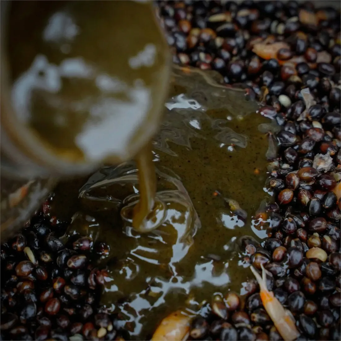 2-x-liquid-munch-baits-soluble-hemp-500ml