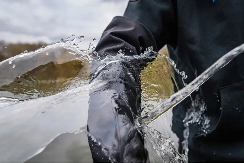 2-x-bluza-preston-hydrotech-pullover-hoodie-medium-m