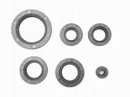 komplet-uszczelniaczy-simeringow-silnika-quad-atv-cross-150-200-250ccm