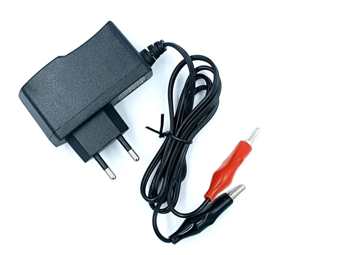 ladowarka-do-akumulatorow-kwasowych-6v