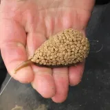 2-x-zestaw-drennan-flat-method-feeder-large-koszyk-35g-waga-z-opakowaniem-0-035-kg-stan-nowy