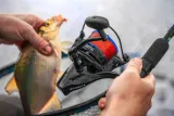 2-x-kolowrotek-preston-intensity-620-feeder-nawoj-96-cm