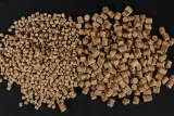 2-x-pellet-cc-moore-live-system-pellets-6mm-1kg-wielkosc-6-mm