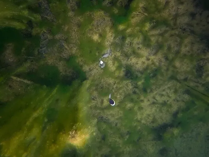 2-x-splawik-zestaw-fox-zig-float-kit-do-zig-rig-stan-nowy-kod-producenta-cac753