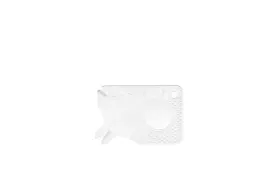 przyrzad-karta-do-usuwania-kleszczy-lifesystems-tick-removal-tool