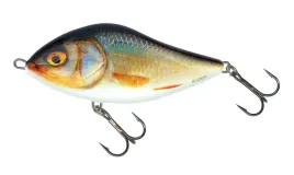 2-x-wobler-salmo-sd10s-slider-sinking-10cm-46g-roach