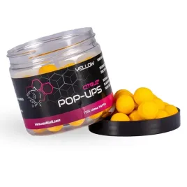 2-x-kulki-nash-citruz-pop-up-20mm-75g-yellow