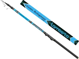 2-x-bolonka-mistrall-lamberta-cosmo-bolo-5m-500cm