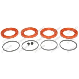 zestaw-naprawczy-pompki-hamulcowej-claas-renault