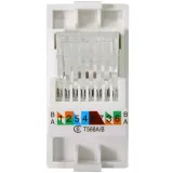 modul-gniazdo-komputerowe-internetowe-rj45-kat-6-liczba-gniazdek-1-szt