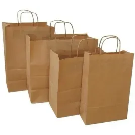 torby-papierowe-240-x-100-x-360-mm-ecobag-brazowe