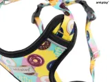 amiplay-szelki-dla-psa-discovery-behappy-m-donut-kolor-wielokolorowy