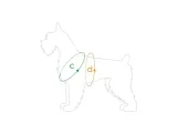 amiplay-szelki-dla-psa-discovery-behappy-m-donut-typ-regulowane