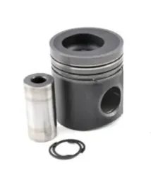 tlok-silnika-mwm-q100-d227-4p-sw35mm-480k00800