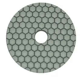2-x-in-corpore-dysk-polerski-trzmiel-p-200-100mm