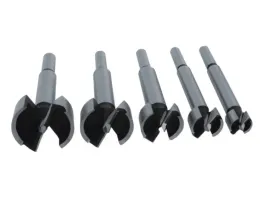 2-x-wiertla-forstnera-do-drewna-1520253035mm-ded0781-dedra