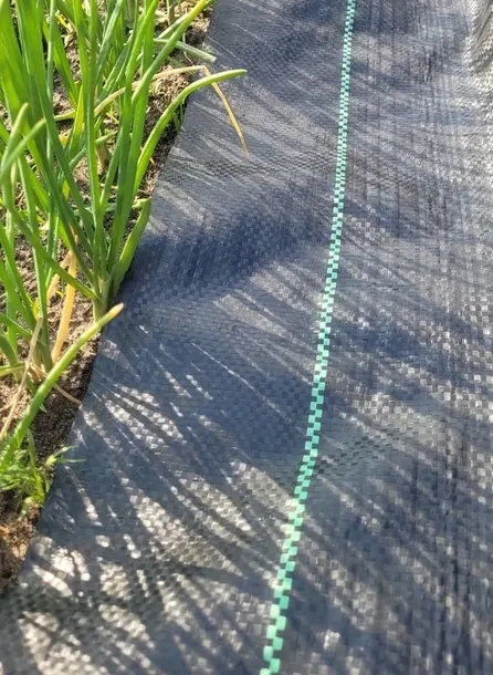 mata-antychwastowa-agrowloknina-sciolkujaca-11x50-m-70-g-m-stan-nowy-kolor-inna