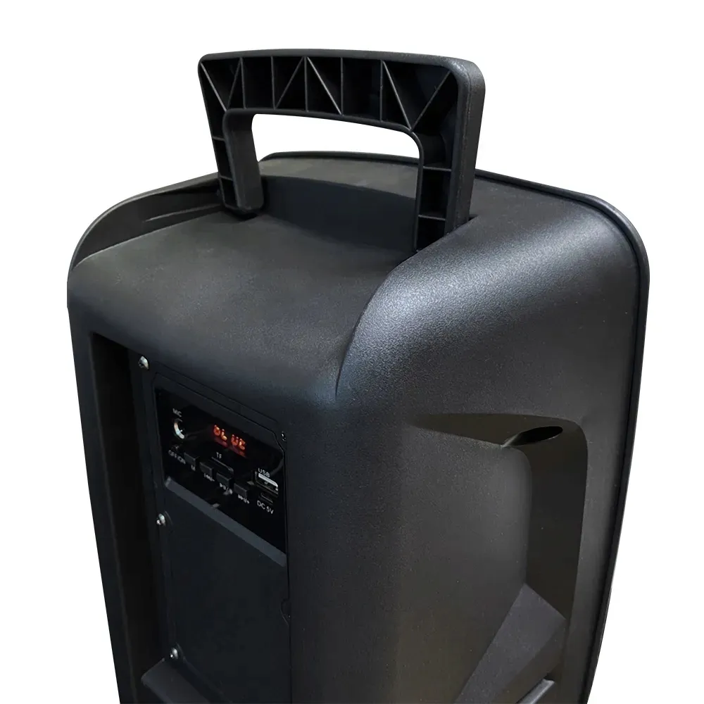 2-x-flamezilla-karaoke-bluetooth-mp3-fm-1000w-mikrofon