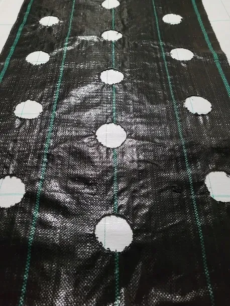 agrotkanina-z-otworami-pod-sadzonki-3-rzedy-80-cm-typ-agrotkanina