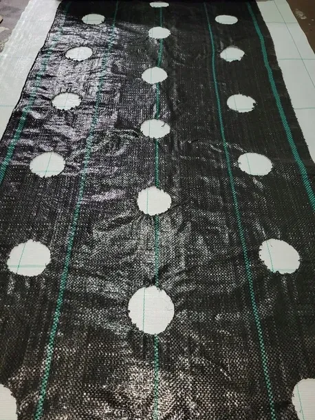 agrotkanina-z-otworami-pod-sadzonki-3-rzedy-80-cm-stan-nowy-rodzaj-inna