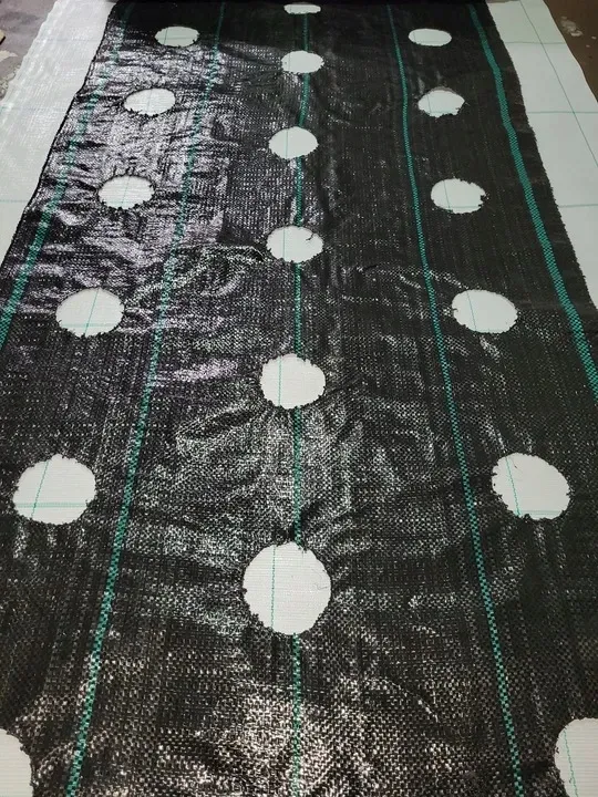 agrotkanina-z-otworami-pod-sadzonki-3-rzedy-80-cm