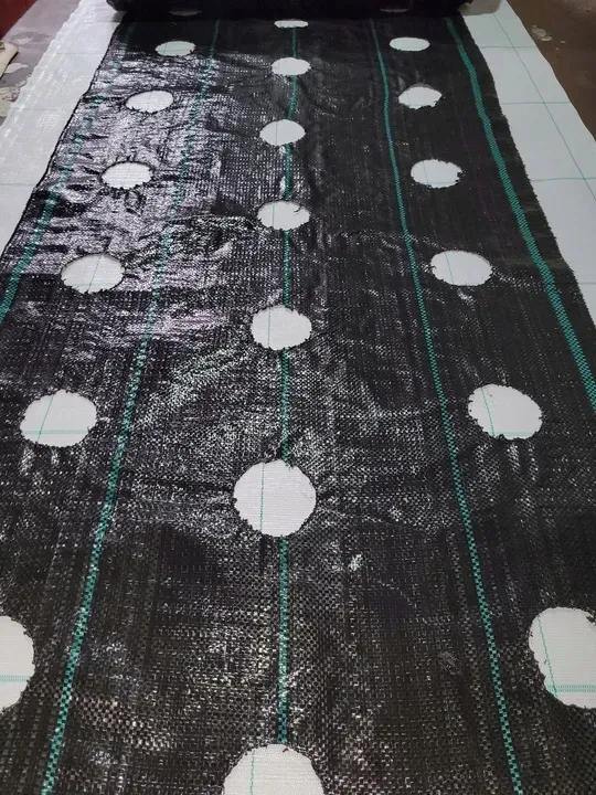 agrotkanina-z-otworami-pod-sadzonki-3-rzedy-80-cm-stan-nowy