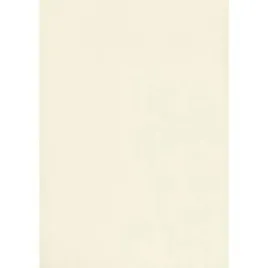karton-wizytowkowy-a4-w20-tloczony-ecrui-20-arkuszy-246g-kreska-910