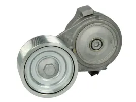 napinacz-paska-wielorowkowego-pasuje-do-case-ih-165-cvx-180-cvx-195