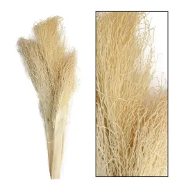 westwing-suszone-liscie-palmy-egzotycznej-suszki-bukiet-3-szt-ok-35-cm