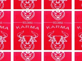 10kg-mieso-mrozone-wolowe-z-k-karma-dla-psa-i-kota-barf