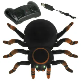 pajak-tarantula-na-pilota-chodzi-jezdzi-po-podlodze-scianie-swieci-oczami