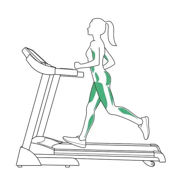 bieznia-elektryczna-v650s-amortyzacja-wznios-puls