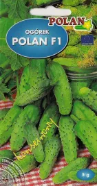 ogorek-polan-f1-nasiona-5-g