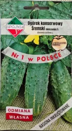 ogorek-sremski-gruntowy-wczesny-odporny-nasiona