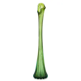 wazon-szklany-dekoracyjny-zielony-72-cm-flakonowka-flakon-na-roze-tulipana