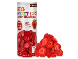 duze-owoce-liofilizowane-mixit-truskawka-100g