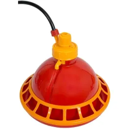 poidlo-dzwonowe-mini-dla-pisklat